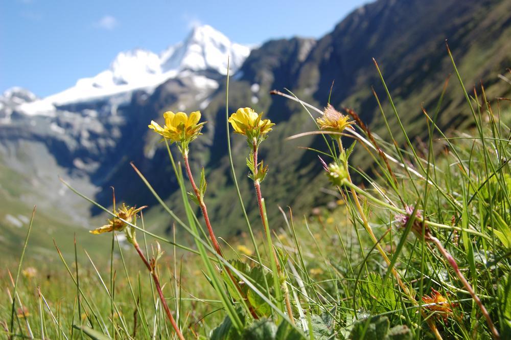 Ferienhaus Islitzer Hollersbach im Pinzgau Extérieur photo